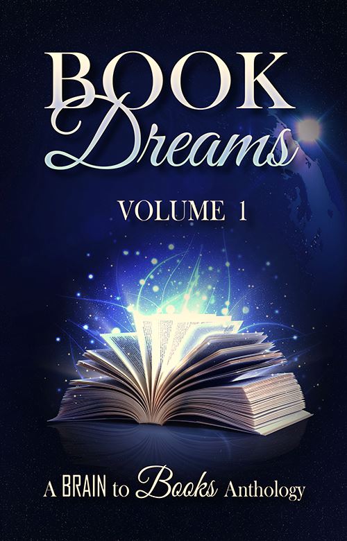 Book Dreams Vol 1 Sanzaki Kojika Artist Streamer IndieCD Independent Creator Directory